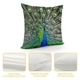 thumbnail image 4 of Orinice Peacock Feathers Graphic Decorative Cotton Linen Throw Pillow Cover Zipper Closure for Home Couch Bedroom - 1PC 24x24in, 4 of 5