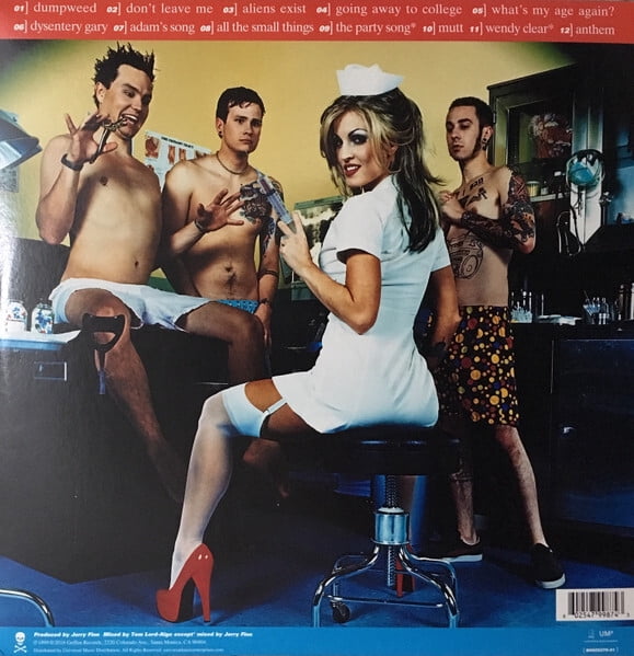 Blink 182 - Enema Of The State - Rock Album on Vinyl, Geffen
