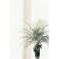 thumbnail image 2 of Studio III 23x32 Black Ornate Wood Framed with Double Matting Museum Art Print Titled - Studio III - Palm Tree, 2 of 4