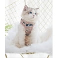 thumbnail image 4 of Conjunto de arnés y correa para gatos y cachorros, arneses ajustables para perros pequeños al aire libre de malla a cuadros, seguridad a prueba de escape, chaleco reflectante para perros, 4 of 8