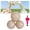 3pcs Beige, variant on Reusable Inflatable Balloon Garland Arch Kit,Pvc Party Decoration With Elastic Band,Reusable PVC Balloons with Dual-inflation Control,Effortless, Long-Lasting,Party Decoration for Birthdays,Weddings