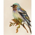 thumbnail image 2 of Pinto, Patricia 12x14 Black Ornate Wood Framed with Double Matting Museum Art Print Titled - Bird on Perch II, 2 of 4