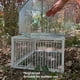 thumbnail image 4 of Caza De Trampa Para Pájaros, Trampa De Animales Resistente A La óxido Portátil De Alambre De Hierro Resistente En La Jaula De Trampa Para Pájaros De Pollo Con, 4 of 7