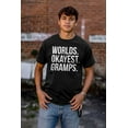 thumbnail image 3 of Worlds Okayest Gramps Relative Family Men's Big & Tall Crewneck Graphic Tee Brisco Brands 2X, 3 of 5