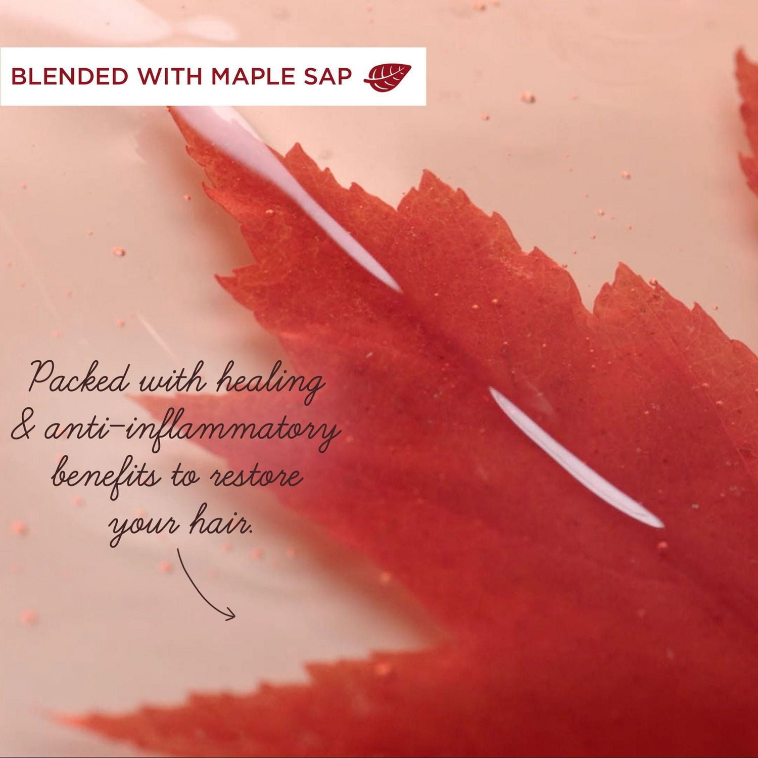 Garnier Whole Blends Castor Oil Remedy Conditioner, 650 mL, Restoring Conditioner for weak, thinning hair