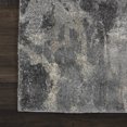 thumbnail image 3 of Nourison Fusion FSS16 Beige/Grey Area Rug 2'2" x 7'6", 3 of 7