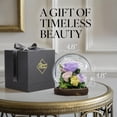 thumbnail image 4 of GLAMOUR BOUTIQUE Preserved Flowers Rose in Glass Dome w/Light - Long Lasting Flowers, Flower Gifts for Women for Any Occasion - Home Decor, Comes w/Thick Gift Box - Glass Rose Flowers - Light Purple, 4 of 9