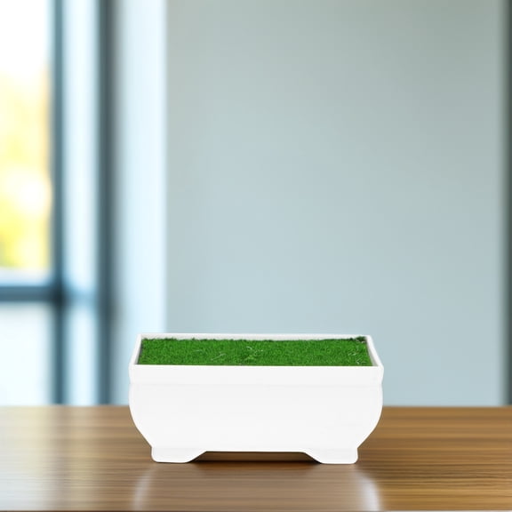 ETEREAUTY 1Set Rectangular Plastic Flower Planter Decorative Plant Pot for Desktop and Garden