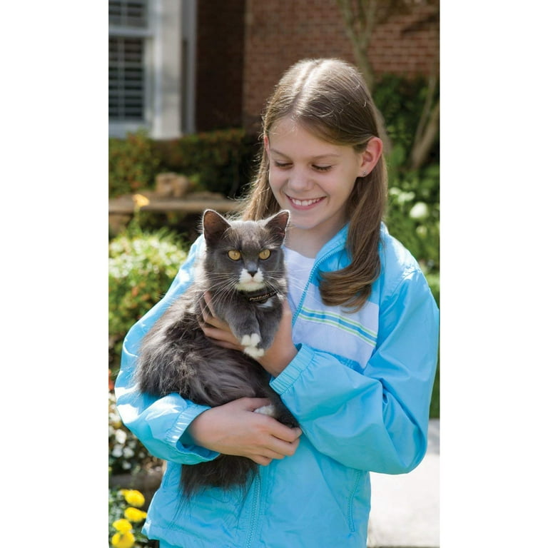 Cat hotsell fence collar