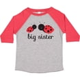 thumbnail image 3 of Inktastic Big Sister Girls Toddler T-Shirt, 3 of 5