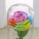 thumbnail image 3 of Rosa de imitación de lámina de oro, rosa eterna, rosa, rosa, regalo creativo para el día de San Valentín, 3 of 6