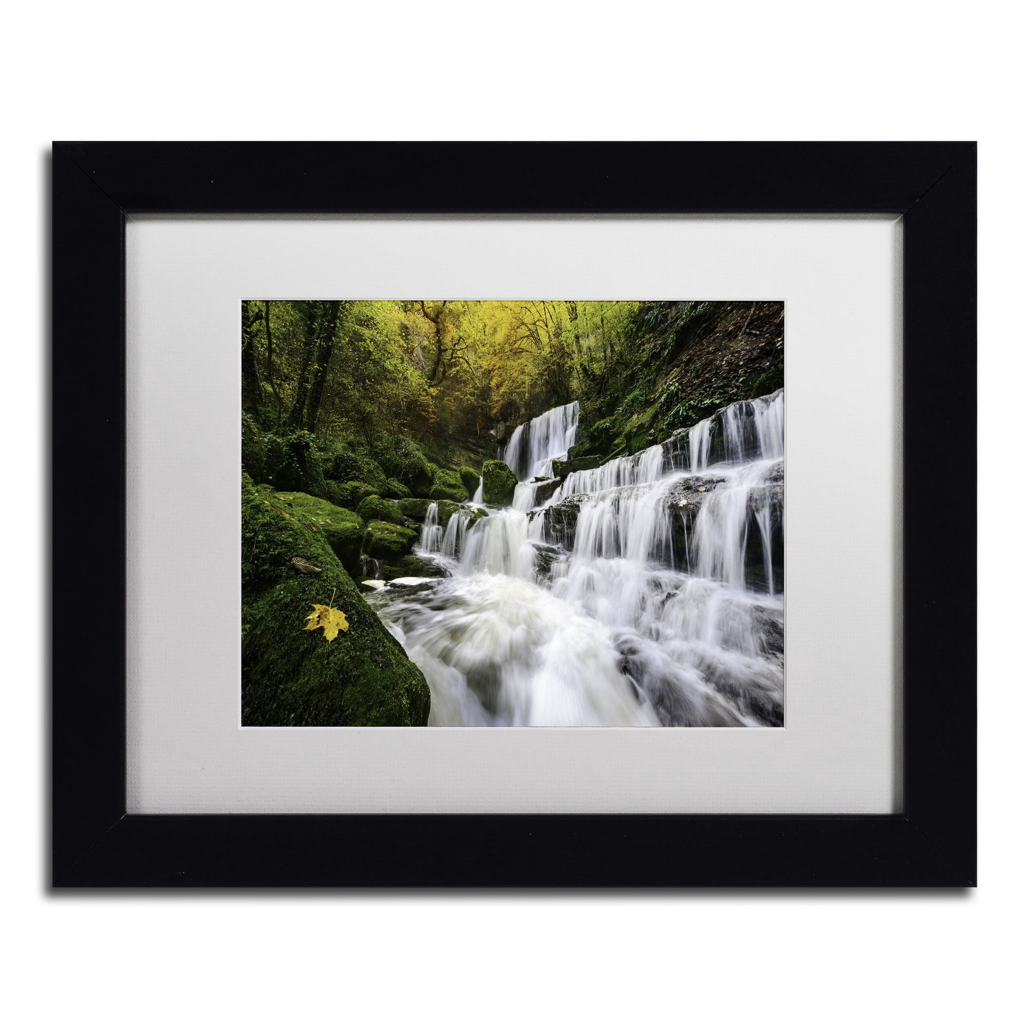 Trademark Fine Art "The Song of the Autumn" Canvas Art by Mathieu Rivrin, White Matte, Black Frame