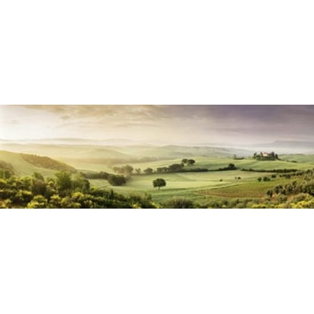 Trees in a field Villa Belvedere San Quirico dOrcia Val dOrcia Siena Province Tuscany Italy Stretched Canvas - Panoramic Images (18 x