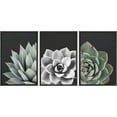 thumbnail image 3 of IDEA4WALL Framed Canvas Print Wall Art Set of 3 Desert Rose Echeveria Succulent Set Nature Plants Photography Modern Art Closeup Relax/Calm for Entryway, Bedroom, Office - 16"x24"x3 Black, 3 of 5