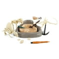 thumbnail image 2 of Hape: Science Can: Mesozoic Super Dinosaur Fossil Dig Kit - Excavate Dino Bones, Archeology Tools, Earth Sciences Experiment Toy, Kids Ages 6+, 2 of 9