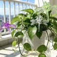 thumbnail image 4 of Plant Support Clips for Orchids and Tomatoes, 30 Pack Garden Flower Clips with Spring Design for Stems and Vines, 4 of 5