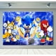 thumbnail image 3 of Fondo de fotografía de Sonic, el erizo de velocidad, héroe corredor, fondo de fotografía de dibujos animados para cumpleaños de niños, accesorios de vinilo de poliéster rojo y azul, 3 of 5