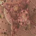 thumbnail image 1 of Ahgly Company Tapis de Zone Carré Orange Lavable en Machine, 5 Pieds Carré, 1 of 7