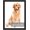 black, variant on 12x16 Picture Frame White - Polished Plexiglass, Wall-Mountable, Hanging Kit Included. Suited for Family Portraits, Scenic Landscapes, Wedding Shots & More. Durable, Stylish, Adorns Home.