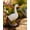 12.8in#3, variant on Porch Goose Statue Large Resin Realistic Cement Finished Lawn Ornament Garden Decor Front Yard Backyard Outdoor Durable Plastic Art for Patio Decorations Geese Animal Sculpture Gift