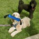 thumbnail image 5 of Juguete para tirar de perros, mordedor de perro con 2 asas fuertes, almohada para mordeduras de perro, juguete duradero para tirar de perros, juguete de yute para morder para perros medianos a grande, 5 of 5
