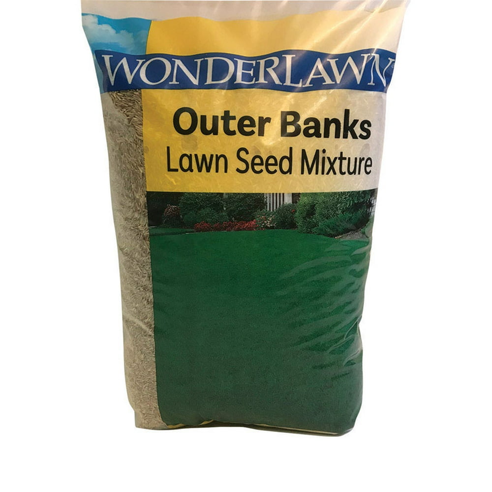 Outer Banks Lawn Seed 5