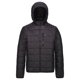 thumbnail image 1 of Regatta - Chaqueta Acolchada Danar para Hombre (Negro) Regatta UTRG5537_black, 1 of 6