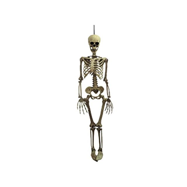 MZXELPRJD Squelette d'Halloween Réaliste Décoration Complète Accessoires pour Maison de Poupée Bar Décorations de Fête