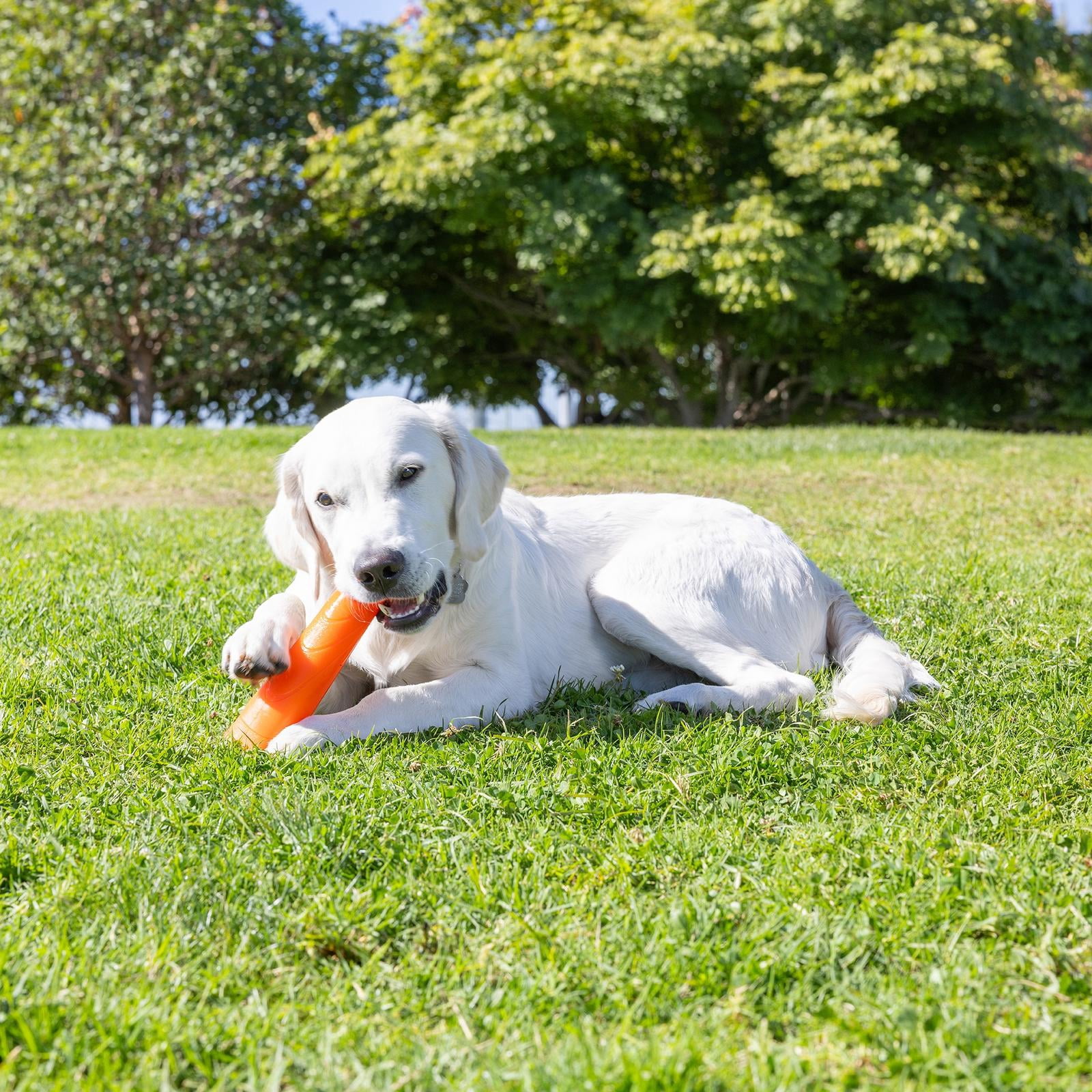 Chuckit! Super Crunch Dog Stick Fetch Toy for Dogs with Crackle Sounds, 9.2" Long for All Size Breeds, Pack of 1