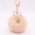 thumbnail image 1 of Pom Pom Keychain Artificial Fur Ball Keychain Fluffy Accessories, 1 of 1
