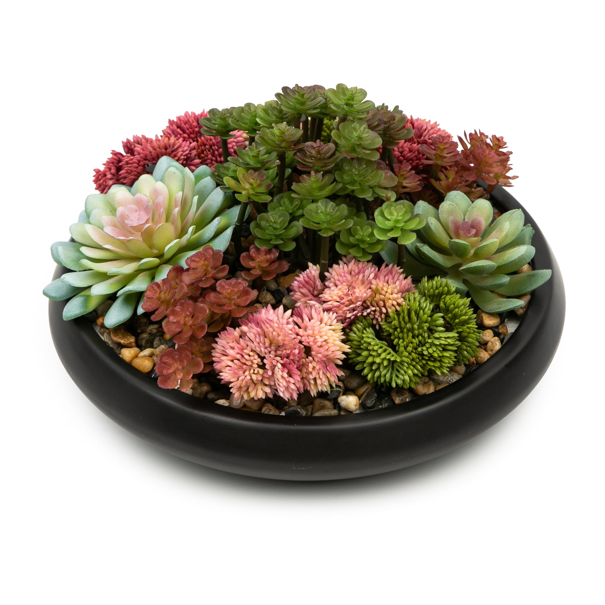 Better Homes & Gardens Artificial Mixed Succulent in Black Round Ceramic Bowl, 9"