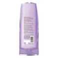 thumbnail image 2 of L'Oréal Paris Hyaluron Plump, Moisture Conditioner, 591 ml, 2 of 9