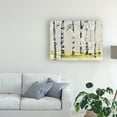 thumbnail image 3 of Trademark Fine Art 'Parchment Birch line I' Canvas Art by Jennifer Goldberger, 3 of 4