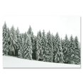 thumbnail image 3 of Pósteres de paisajes de bosque invernal, impresiones de Navidad, abeto, pino, reno, alce, lienzo, pintura, arte de pared, decoración, 3 of 5