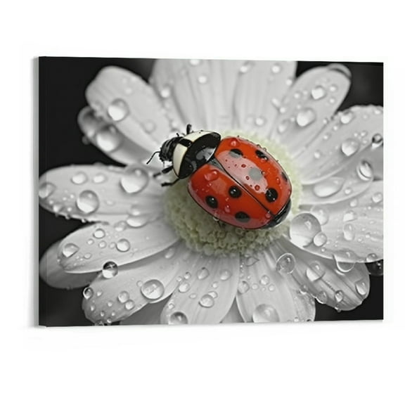 PRATYUS Fall Decor A Ladybug on a Flower Canvas Wall Art Picture 20x16in