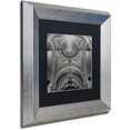 thumbnail image 2 of Trademark Fine Art "Lyon I" Canvas Art by Alan Blaustein, Black Matte, Silver Frame, 2 of 4