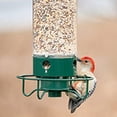 thumbnail image 2 of Comederos de pájaros para exteriores, comederos de pájaros a prueba de ardillas para colgar al aire libre, comederos de semillas de pájaros salvajes de metal para pájaro azul, cardenal, pinz, 2 of 4
