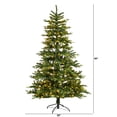 thumbnail image 3 of Nearly Natural 7ft. Montreal Spruce Artificial Christmas Tree with 650 Warm White LED Lights and 1575 Bendable Branches, 3 of 11