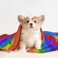 thumbnail image 4 of Yiaed Colorful Glitter Rainbow Print Dog Blankets-Cat Blanket Washable for Couch Protection,Puppy Blanket, Soft Plush Reversible Throw Furniture Protector-, 4 of 8