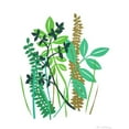 thumbnail image 3 of Ludwig, Alicia 15x18 Black Modern Framed Museum Art Print Titled - Hedge Row III, 3 of 5