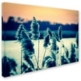 thumbnail image 2 of Trademark Fine Art 'Sunset on the Marsh 2' Canvas Art by PIPA Fine Art, 2 of 3
