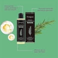 thumbnail image 3 of 1-3x Tgideas Rosemary Anti-Hair Loss Shampoo + Caviar Hair Mask Set, Boost Hair Growth, Control Oil & Dandruff, Soothe Scalp Irritation & Restore, 3 of 5