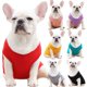 thumbnail image 4 of Chaleco para perros y gatos, ropa para perros pequeños y grandes, productos para mascotas, algodón, oso de peluche, labrador, duradero, práctico, de moda, 4 of 4