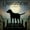 Unframed, variant on Art.com Moonrise Black Dog Art Print by Ryan Fowler, 16" x 16"
