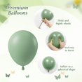 thumbnail image 3 of Globos Vicduotex, color verde salvia, 60 unidades, 30 cm, con confeti, 3 of 7