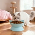 thumbnail image 5 of Elevated Cat Food and Water Bowls Set, Extra Wide and Raised Ceramic Bowls, Anti-Vomit Whisker-Free Pressure Cat Feeder for Kittens to Adult Cats and Small Dogs (Blue,Water Bowl), 5 of 6