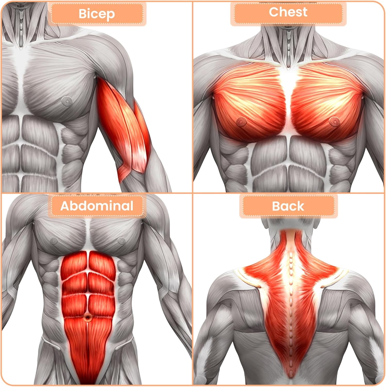 Pull Down Machines, LAT Row Cable Machine, LAT Tower with Additional Pulley Cable, High & Low Pulley Stations with Leg Support, Tricep Workout Equipment