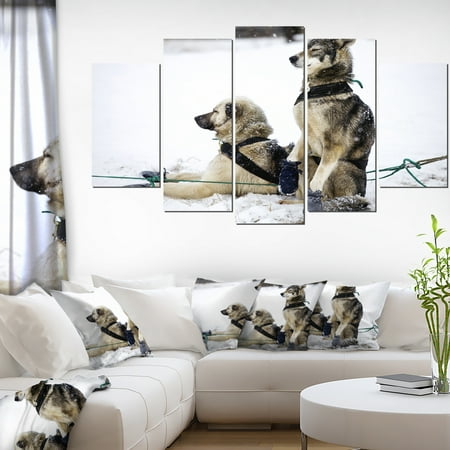 Large Sled Dogs Relaxing - Oversized Animal Wall Art | Walmart Canada