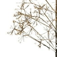 thumbnail image 4 of Kurt Adler 4-Foot Pre-Lit Warm White LED Silhouette Fairy Tree, 4 of 4