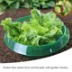 thumbnail image 4 of Collar de caracol con anillo protector repelente de caracoles para proteger las plantas de la alimentación de animales, 4 of 8
